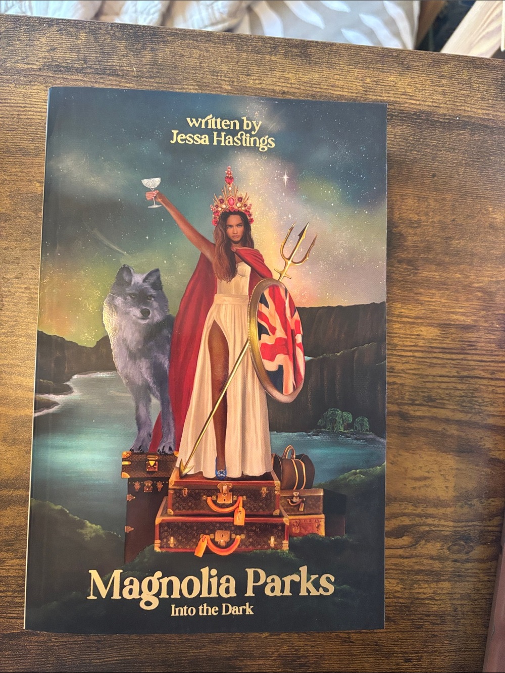 Magnolia Parks "Into the Dark" Illustrated Book - Multicolor Cover